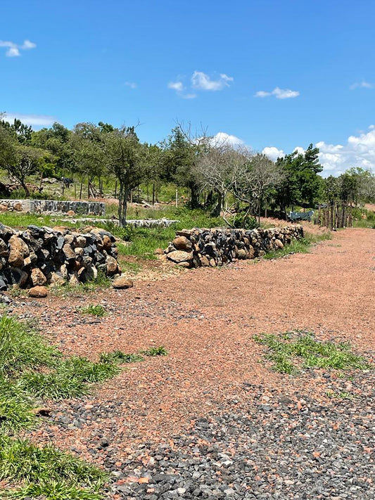 Terrenos cerca de Tiripetio de 9x20mt, a 200mt de la autopista a Pátzcuaro